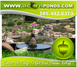 Waterfall Fish Pond Installation Services By Acorn Ponds & Waterfalls In Rochester New York (NY) 585.442.6373