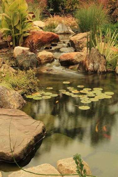 Ecosystem Pond Experts Fairport, Pittsford & Penfield NY - Acorn Ponds & Waterfalls