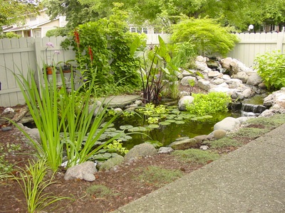 Garden pond installed by Acorn in Rochester New York (NY)