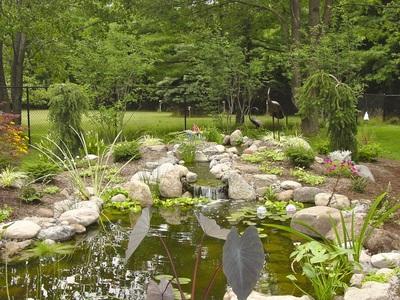 Backyard fish pond installation by Rochester’s premier pond contractors Acorn Ponds