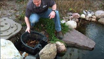 Reduce koi pond maintenance & improve water quality by installing a pond skimmer in Rochester New York (NY) - Acorn
