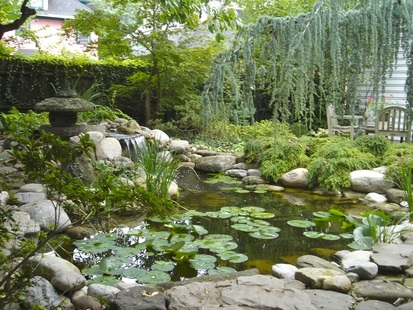 Koi pond installed in Rochester New York (NY) by certified pond contractors - Acorn Ponds & Waterfalls