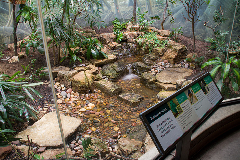 Aquascape ponds & water feature ideas for zoos