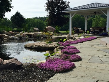 Stabilizing rocks around the edge of a koi pond in Rochester NY by Acorn