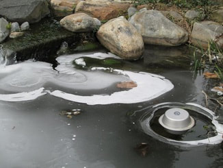 Pond De-Icers And Winter Pond Maintenance In Rochester (NY) New York Near Me