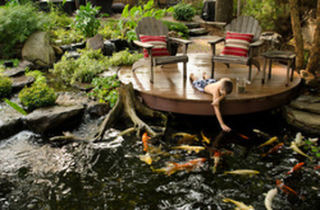 Koi Pond Construction Services In Fairport, Pittsford & Penfield NY By Acorn Ponds & Waterfalls