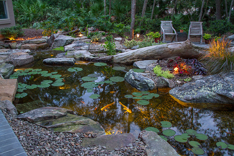 Fish pond & outdoor living ideas for Rochester New York (NY)