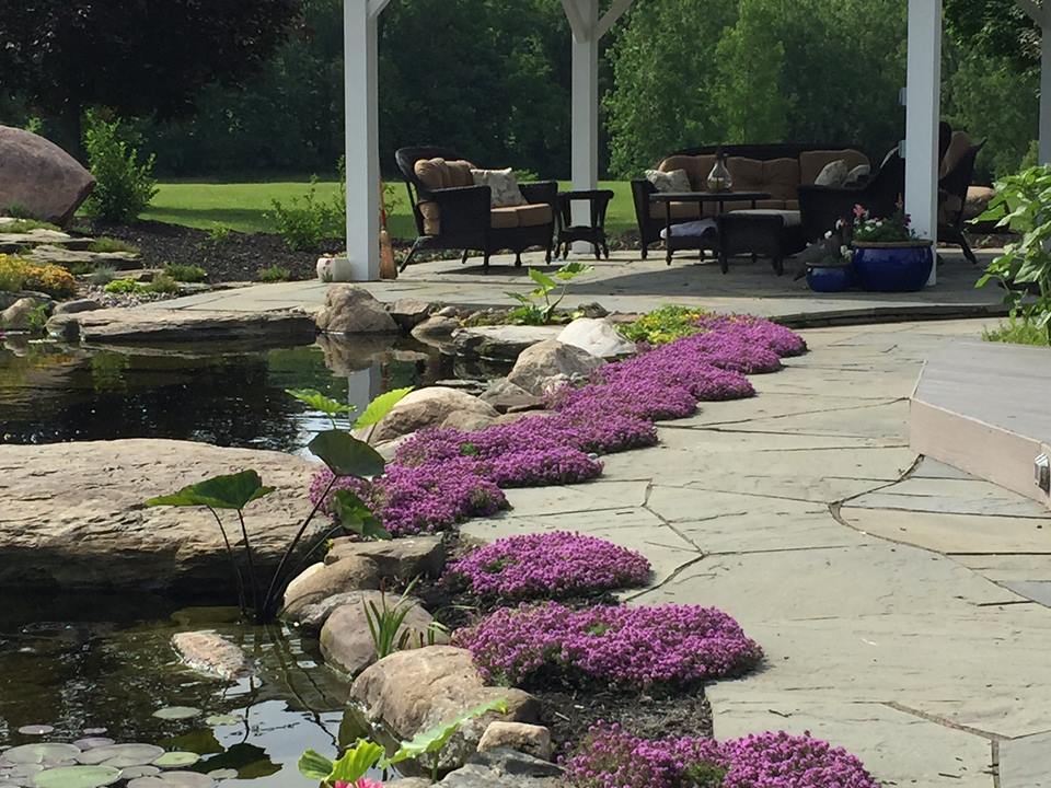 Koi Pond Ideas for your Backyard Rochester NY