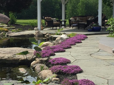 Pond contractors of Rochester New York Install Koi Ponds And Water Gardens