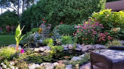 Beautiful backyard fish pond installed in Rochester New York (NY) by Acorn