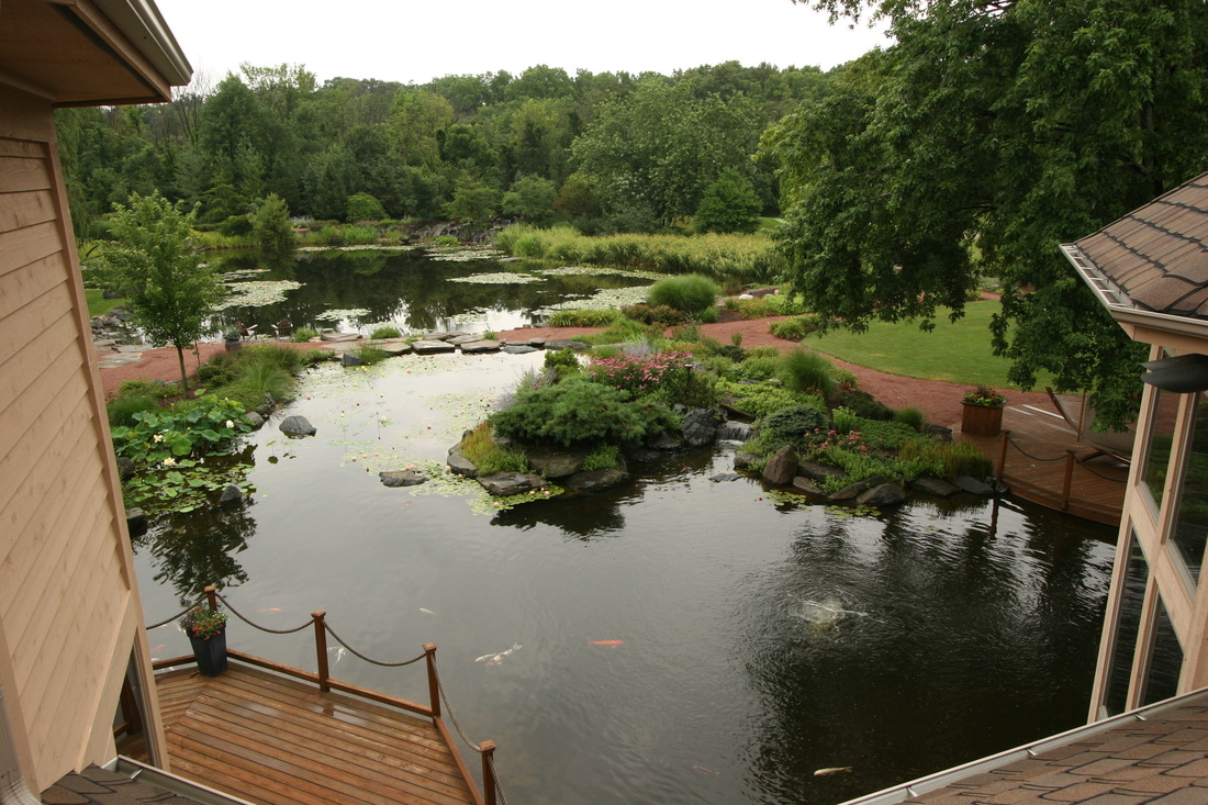 Backyard Pond Image