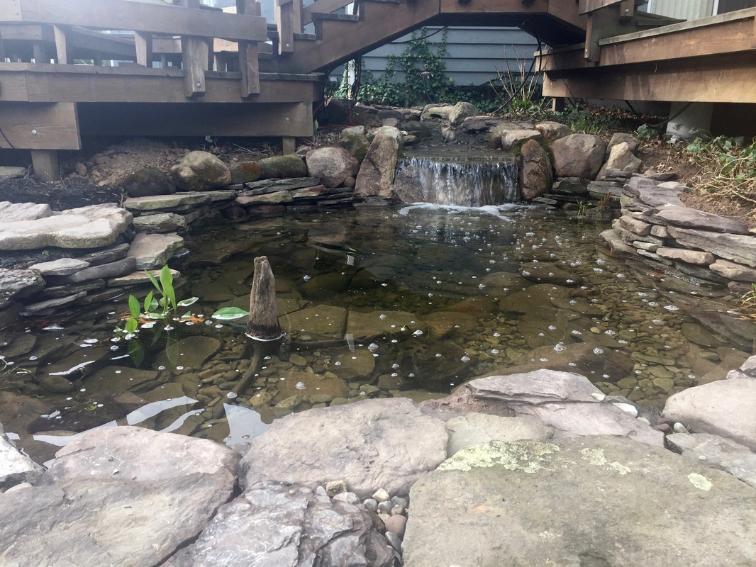  Waterfall Pond & Waterfall Renovation Services In Rochester NY By Acorn