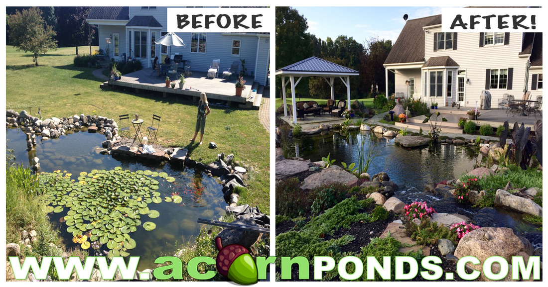 Koi Pond Design & Renovation In Rochester New York (NY) By Acorn Ponds & Waterfalls