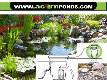 Reduce pond maintenance drastically with an aquascape bacteria dosing system in Rochester New York (NY