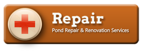 Acorn’s Pond & water feature lighting repair & replacement services in Rochester New York (NY)