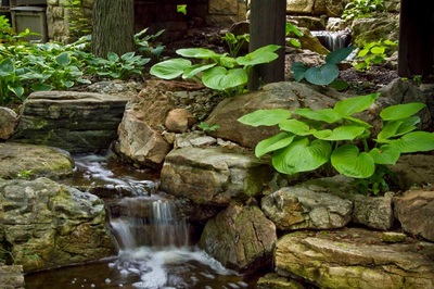 Water Feature & Landscape Ideas For Backyards In Rochester NY