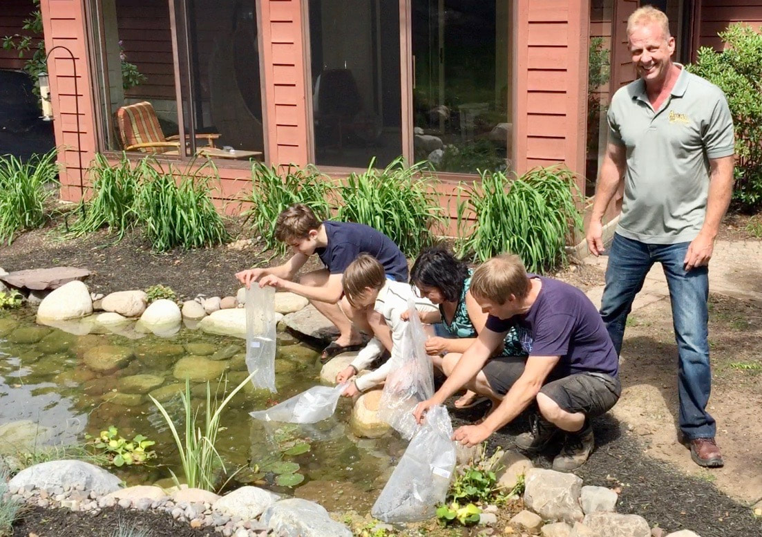 Adding Fish To A Backyard Pond Near Rochester NY