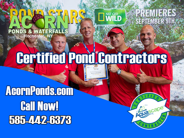 Certified-Aquascape-Pond-Contractors-Acorn Ponds & Waterfalls-NY