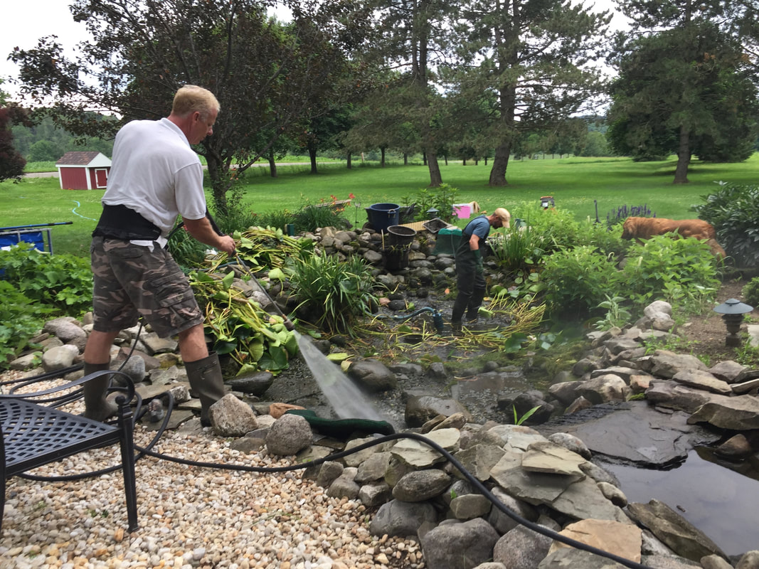 How Much Maintenance Does A Fish Pond Require in Rochester NY?
