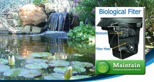 Professional installers of Aquascape & box type waterfall filters In Rochester (NY) - Acorn Ponds 