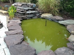 Old Pond With Green Pond Water To Have New Filtration System- Rochester, Monroe County New York (NY)