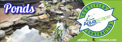 FISH & KOI PONDS SERVICES in Rochester (NY) By Acorn Ponds & Waterfalls