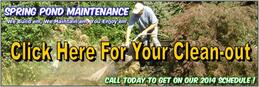 Pond Maintenance & Cleaning Services Greece, Chili & Gates NY - Acorn Ponds & Waterfalls. Image