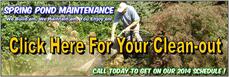  Pond Cleaning Services In Victor, Canandaigua, Honeoye Falls NY By Acorn Ponds & Waterfalls. Image