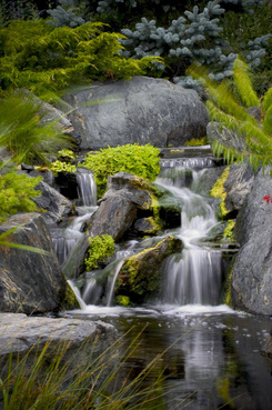 Water Feature (Waterfall) Repair services In Victor NY Acorn Ponds & Waterfalls