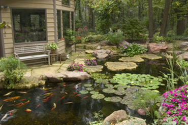 Fish Pond Ideas For Backyards In Rochester NY 