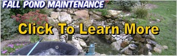 Contact Acorn For Fall Pond Maintenance Services In Pittsford NY (New York)