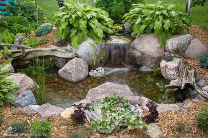 Small Fish Pond Idea For Your Backyard In Rochester NY