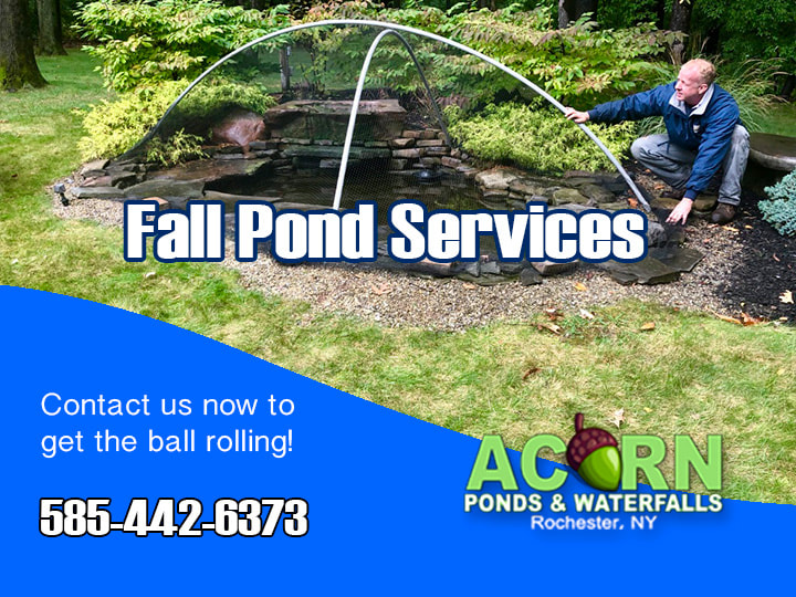 Fall Pond Maintenance Contractor Rochester New York