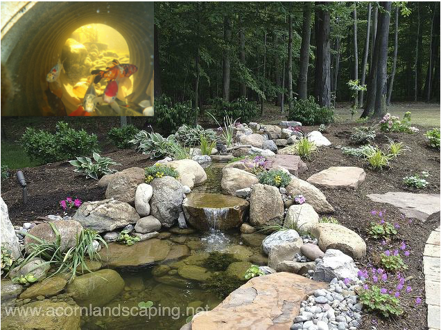 Fish Pond, Cave & Stream Ideas In Rochester (NY)