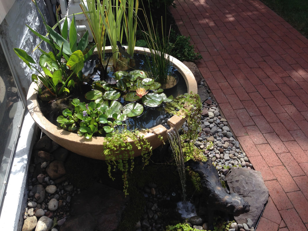 Small Water Feature Ideas For Gardens In Rochester (NY) New York Near Me