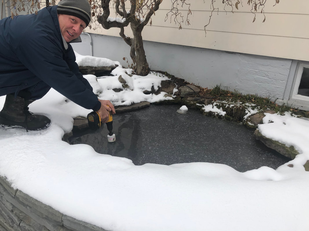 How To Save Your Pond Fish From Freezing In Rochester (NY) New York Or Near You