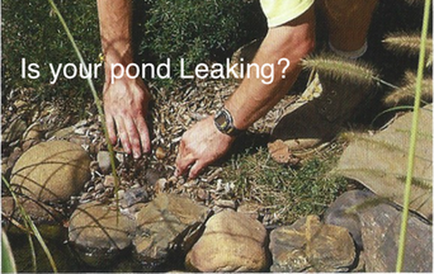 Is Your Rochester (NY) Pond Or Waterfall Leaking? Would You Like Us To Fix It??