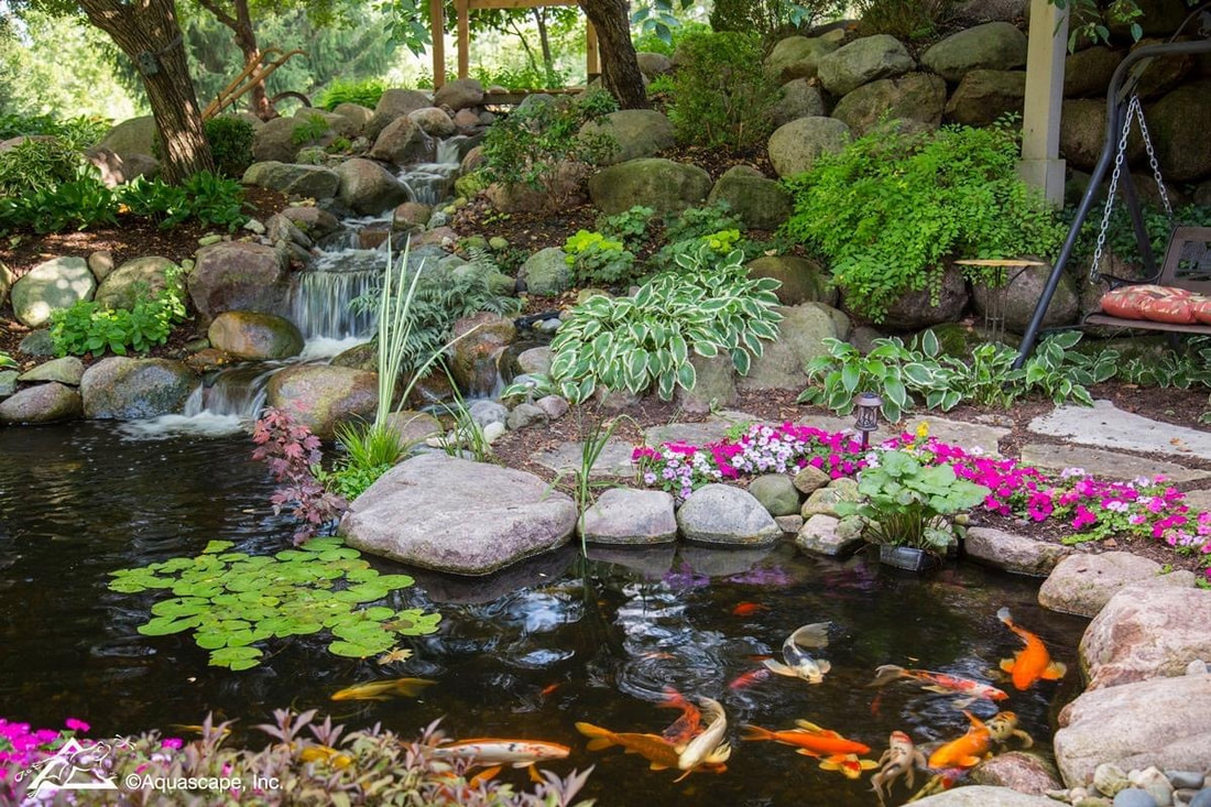 Fall Fish Pond Care In Rochester NY