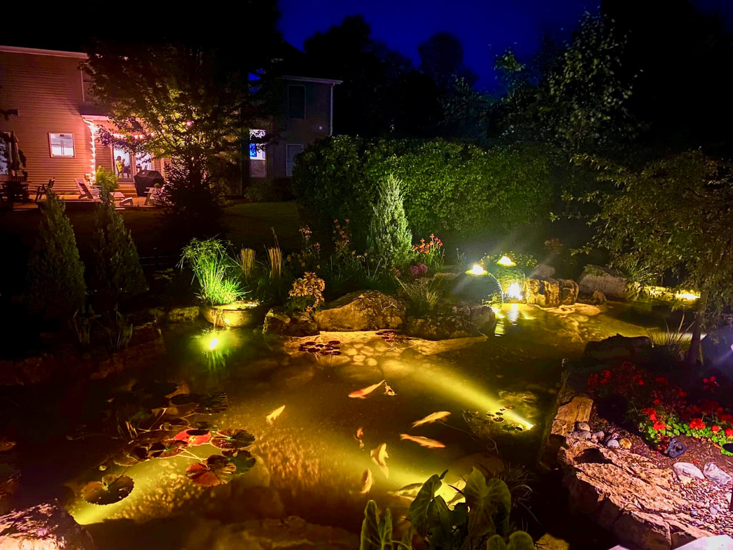 Illuminate your gardens with our high quality Landscape lighting systems [5 YEAR WARRANTEE]  in Rochester New York (NY)