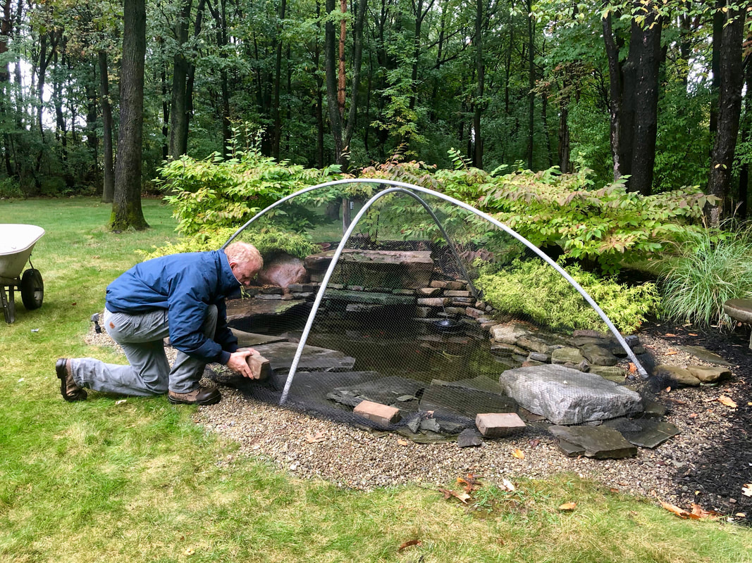 Fall Pond Netting Rochester NY