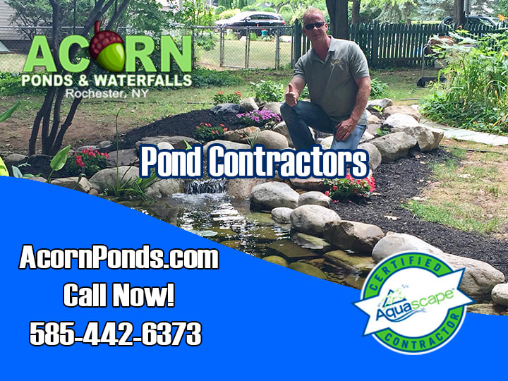 Koi Pond Construction Contractors-Company Near Me