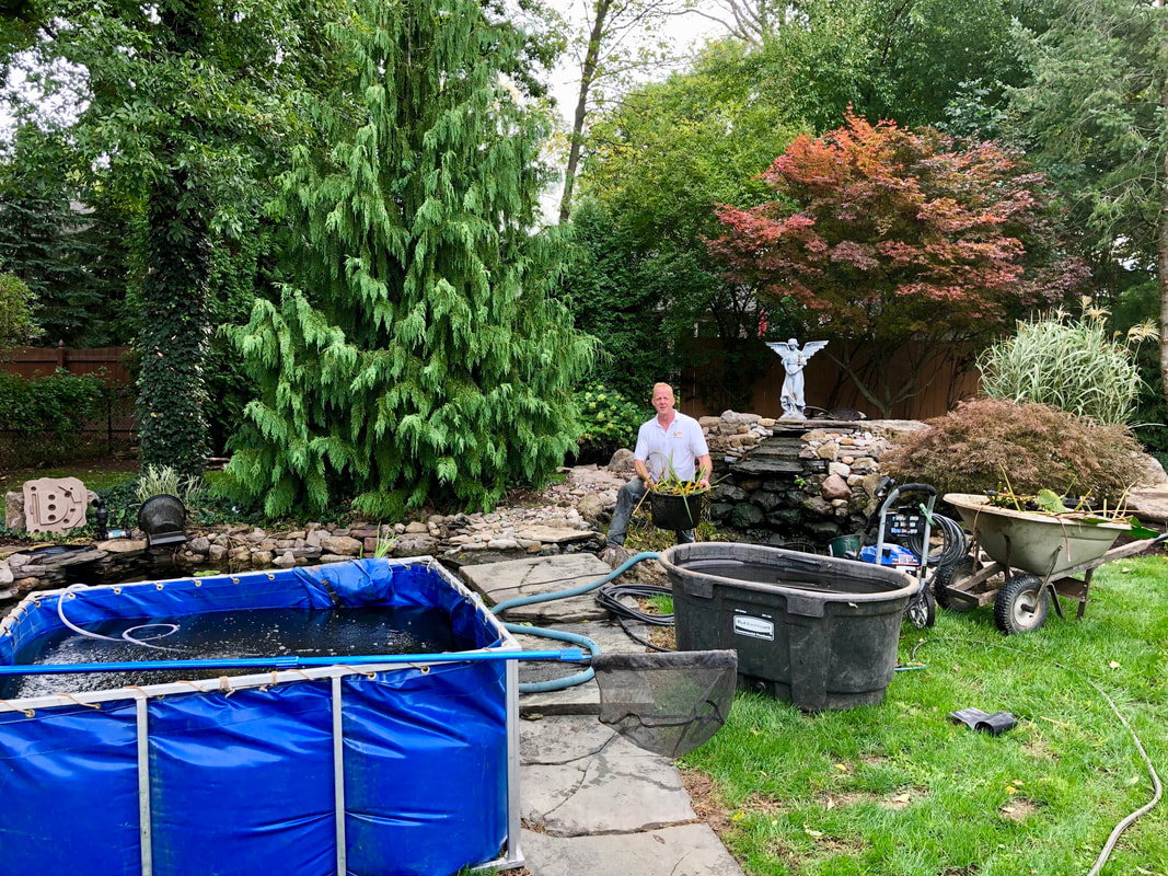Pond Cleaning Services In Victor, Mendon & Rush NY - Acorn Ponds & Waterfalls. Image  