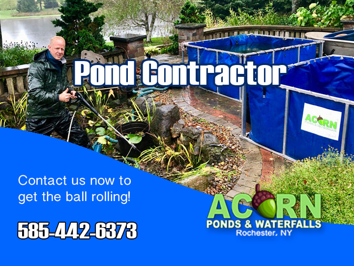 Pond Contractor Near Greece Rochester New York