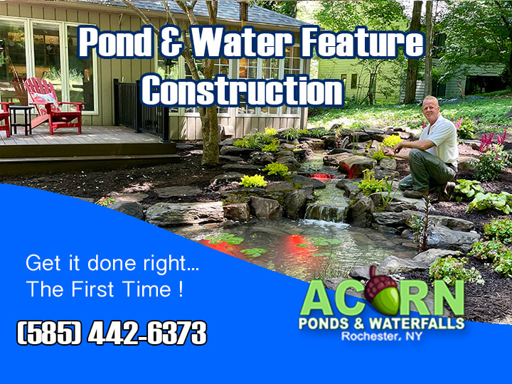 NY-Monroe County New York Koi Fish Pond Builders Near Me