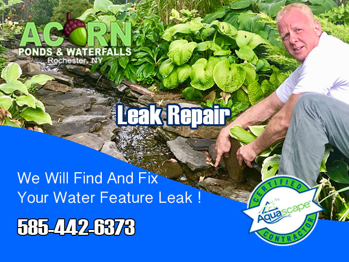 Pond-Water Feature Leak Repair Services Rochester-Western-NY