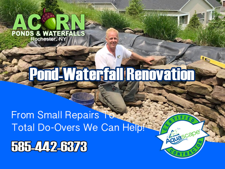 Pond-Waterfall-Repairs-Renovation-Contractors-Rochester-NY-Acorn Ponds & Waterfalls