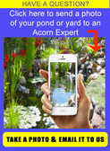 New York homeowners are always concerning themselves with the costs of building a pond when they should be thinking about….