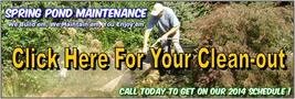 Spring Pond Cleaning Penfield, Monroe County New York (NY)