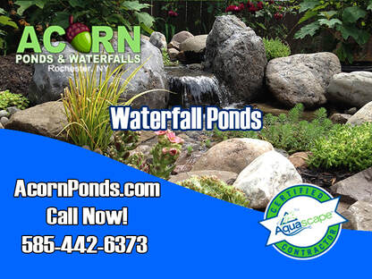 Local Backyard Waterfall-Fish Pond Contractors-Rochester New York Near You