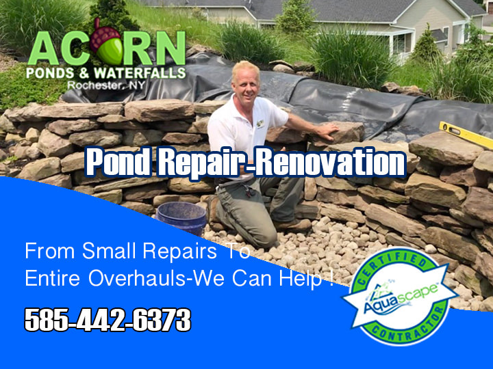 Water-Feature-Pond-Repair-Renovation-Services-Rochester-Western-NY